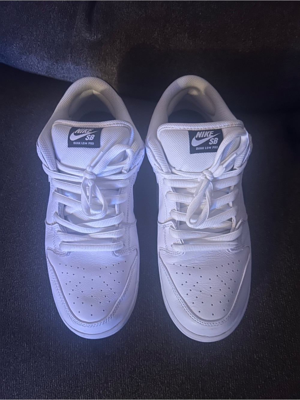 Nike SB white/black shoes
